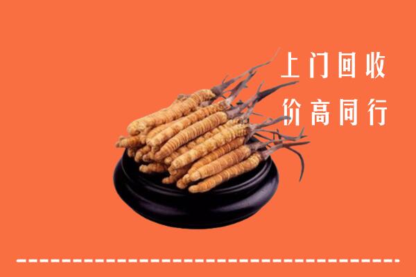 汤旺县回收冬虫夏草