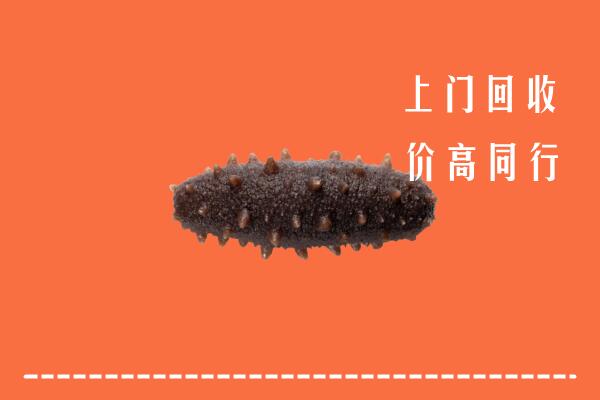 高价求购：汤旺县回收海参