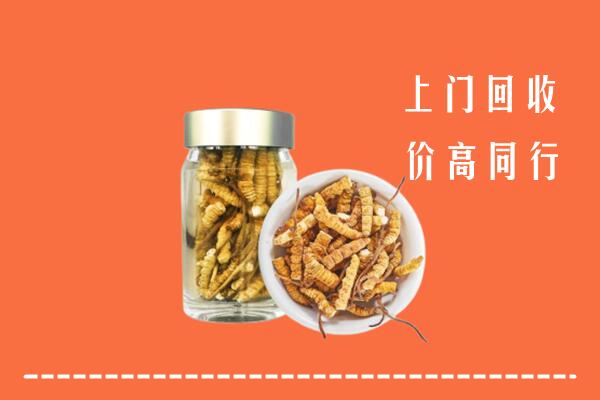 汤旺县回收冬虫夏草